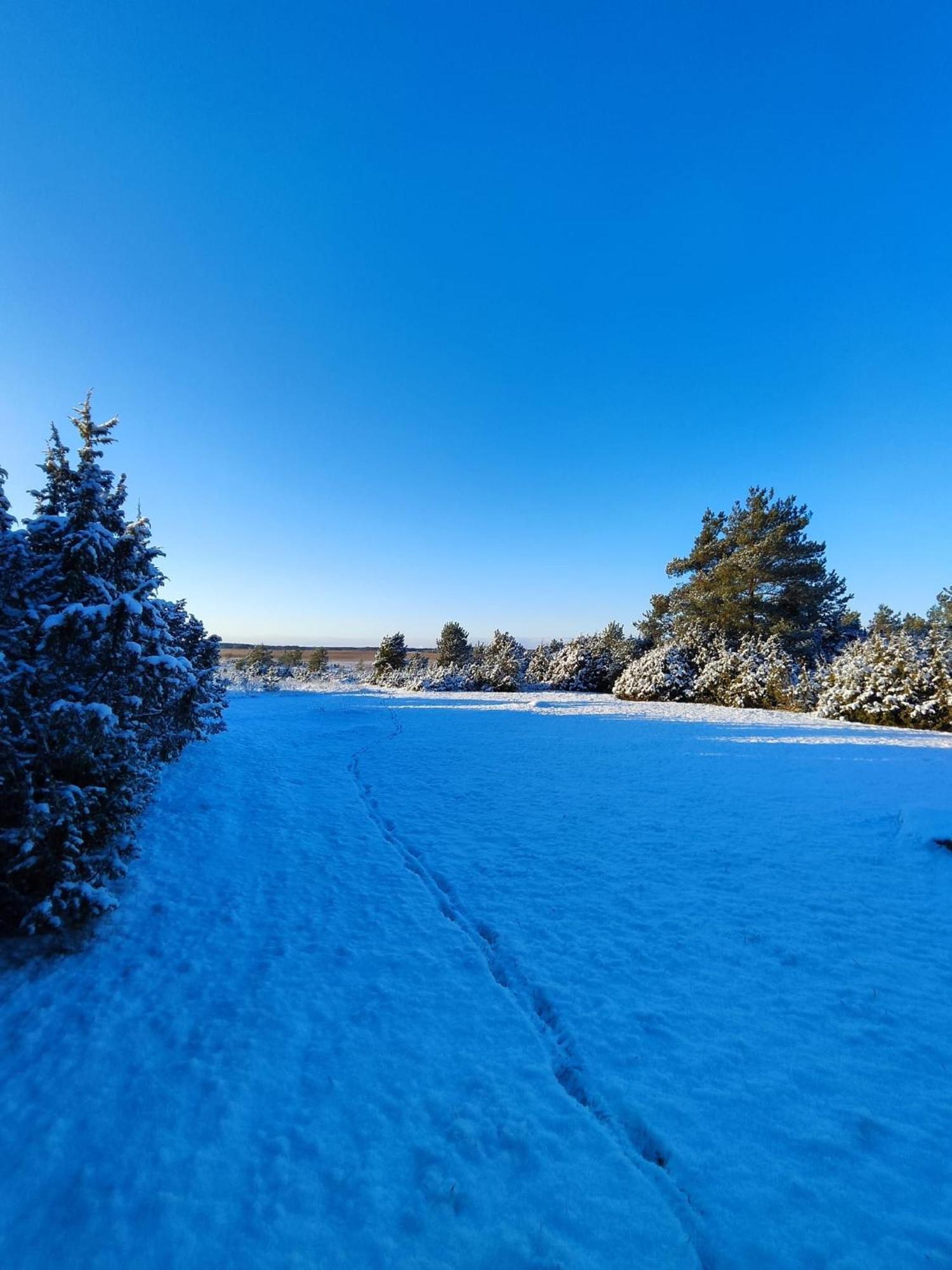 Kivika Villa Lahe Dış mekan fotoğraf
